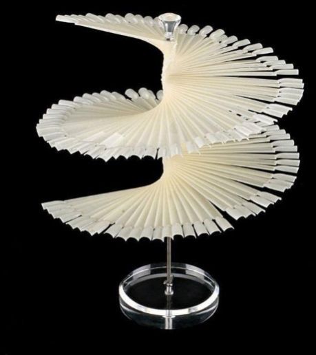 Nail Practic Tips Nail Color Display