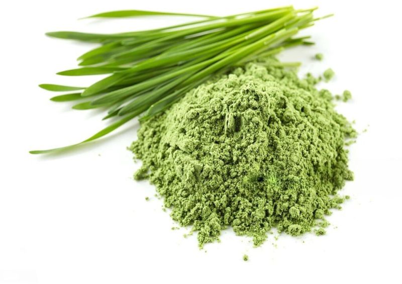 wheat grass powder