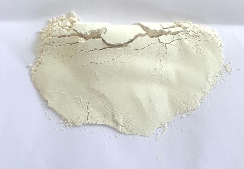 Dehydrated White Onion Powder