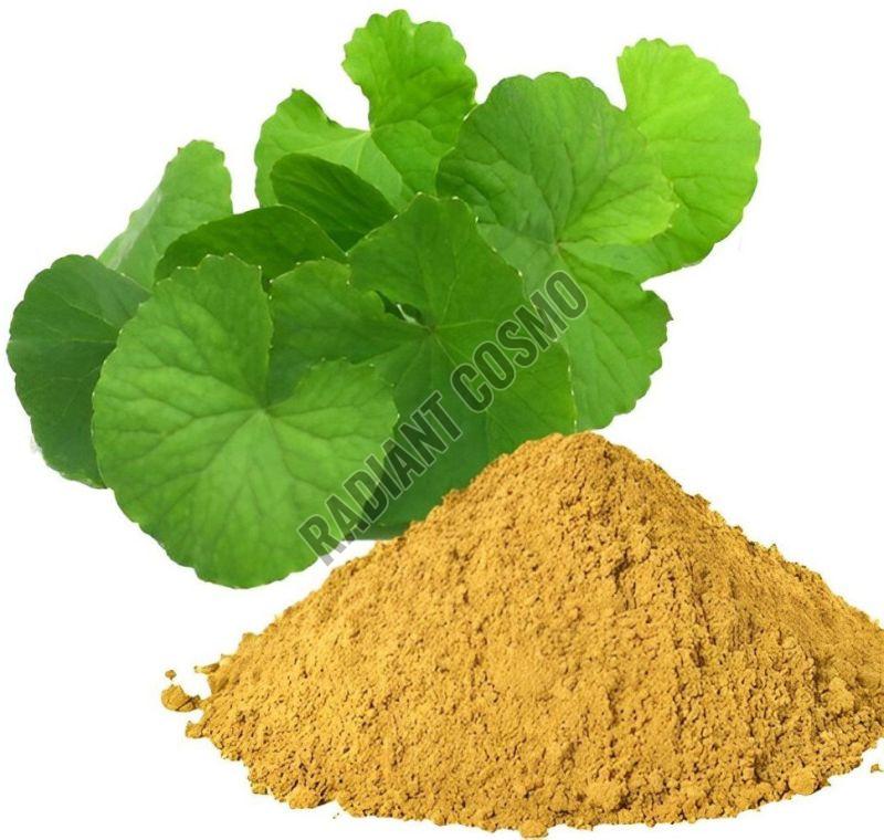 Brahmi Extract
