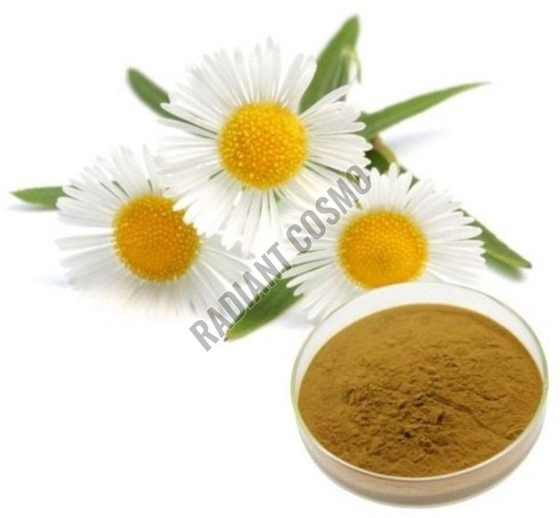 Chamomile Extract