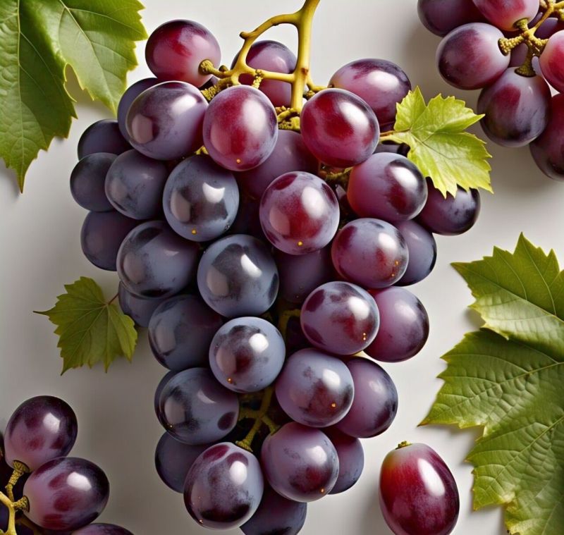 fresh grapes