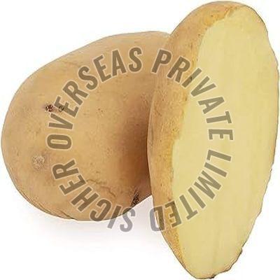 fresh potato