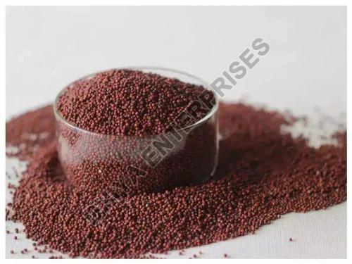 finger millet seeds