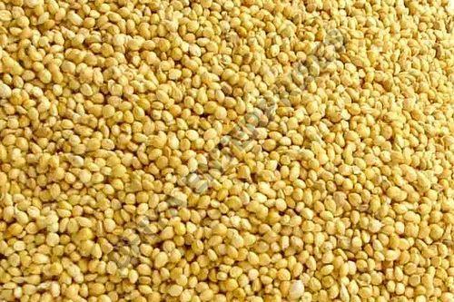 Foxtail Millet Seeds