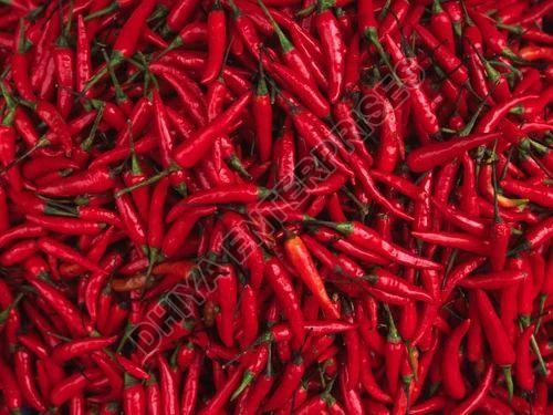 Fresh Red Chilli