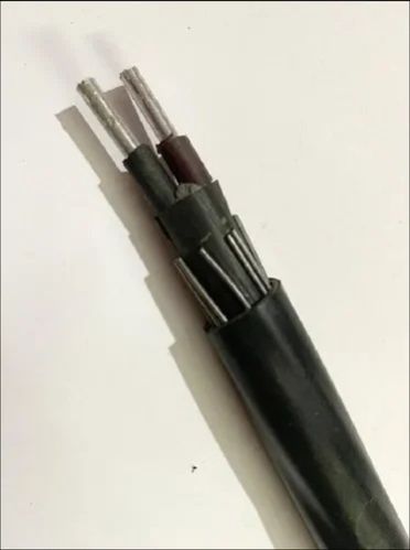 10 Sq.mm 2 Core Aluminium Armoured LT XLPE Cable