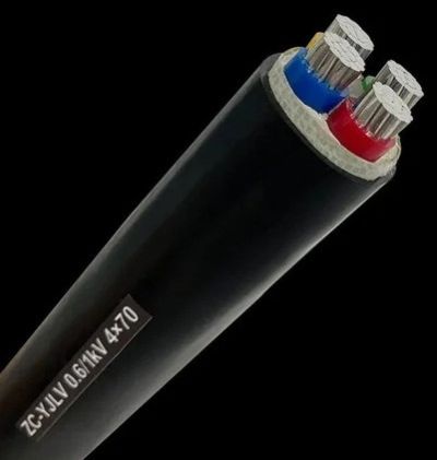 4 Sq.mm 2 Core Aluminium Armoured Cable