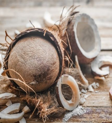 Dried Coconut, Color : White