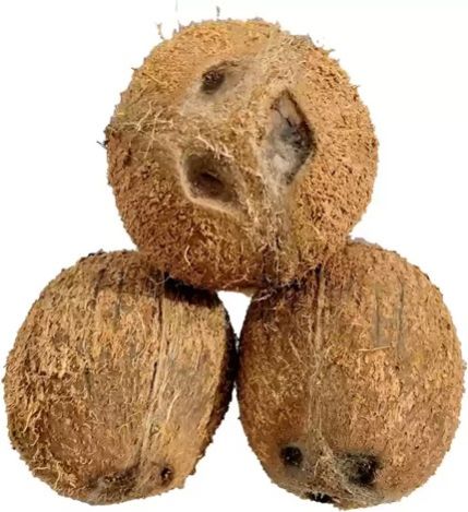 Husked Coconut, Speciality : Natural Exfoliant, Cocoa-brown Colorant