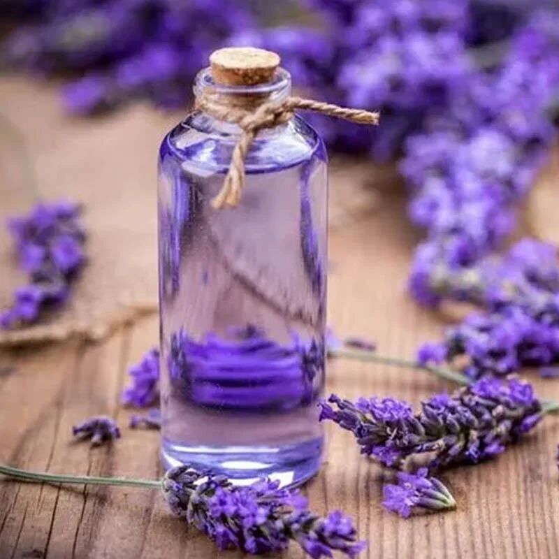 lavender oil