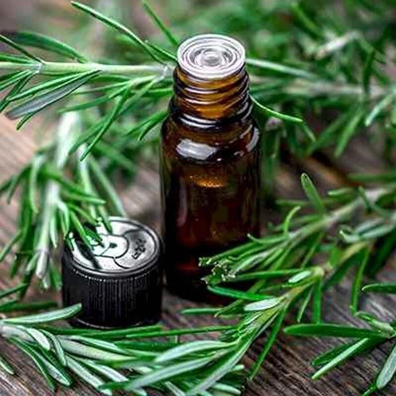 Rosemary Oil