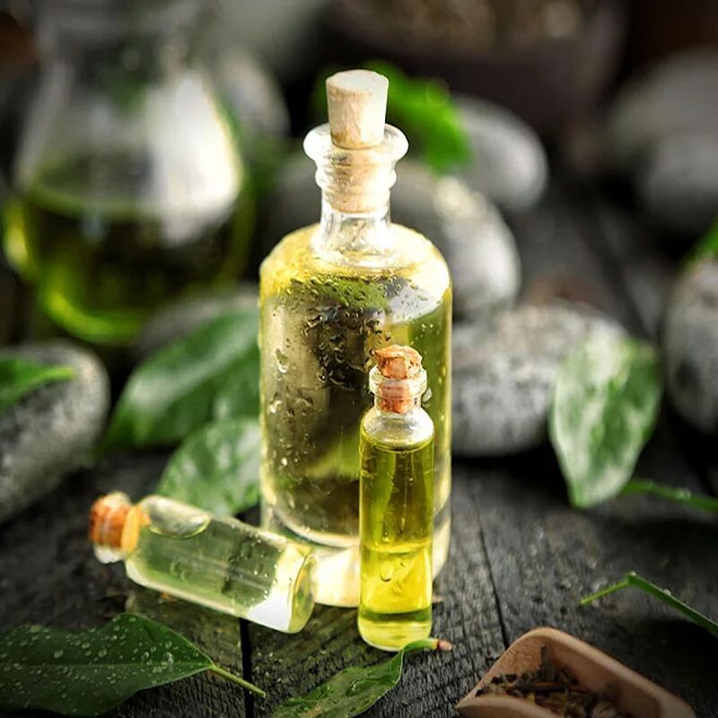 Tea Oil