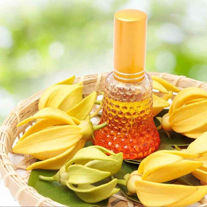 Ylang Ylang Oil