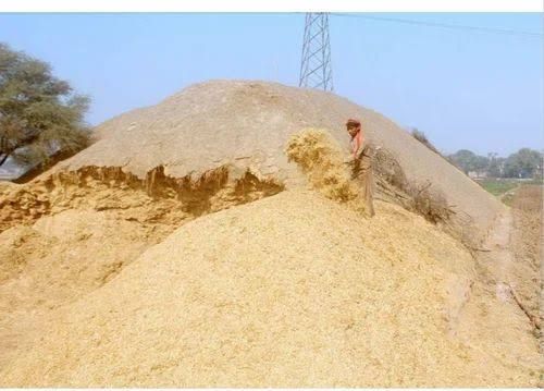 Natural wheat straw, Certification : ISO 9001:2008 Certification