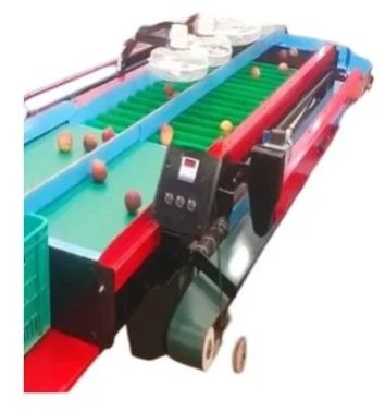 Fruit Grading Machine 500 Kg