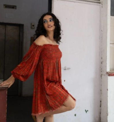 Women Rust Smocking Short Dress