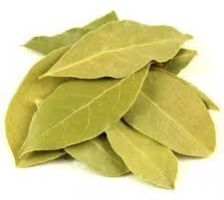bay leaf