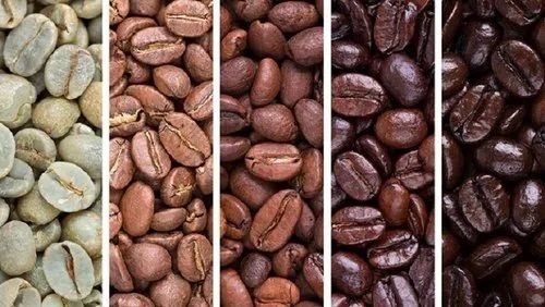 Robusta Fresh Roasted Coffee Beans
