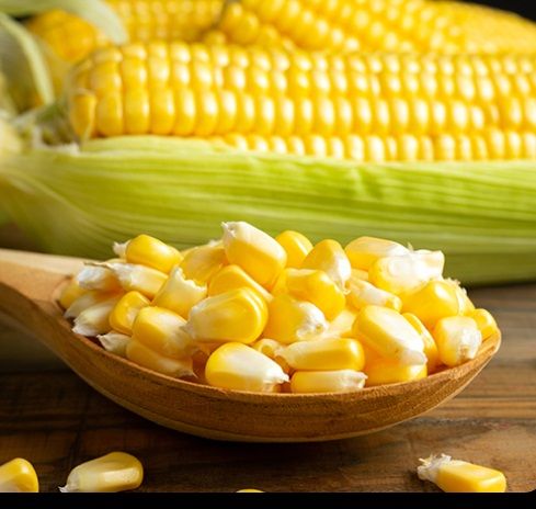 Yellow Corn, Packaging Type : Varies