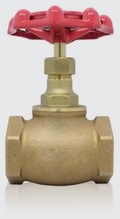 Globe Valve