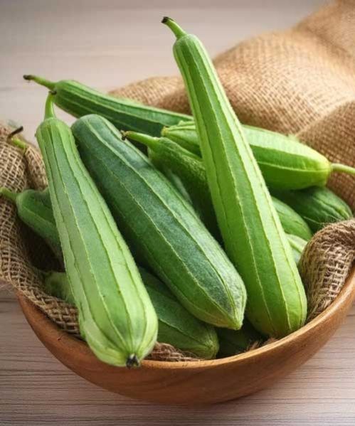 Ridge Gourd