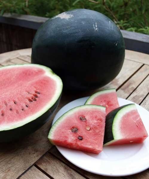 watermelon