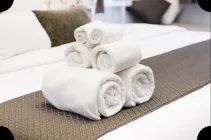 Hotel/salon Towel