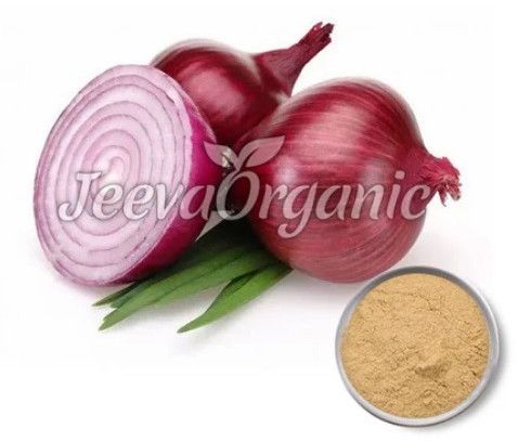 Onion Bulb Extract Powder 4:1