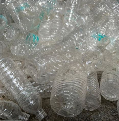 Clear and Clean PET Bottle Scrap, Color : Transparent