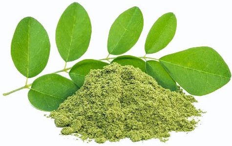 Natural moringa leaves powder, Brand Name : Evanique