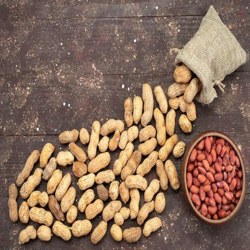 Groundnut Inshell, Packaging Type : PP Bag