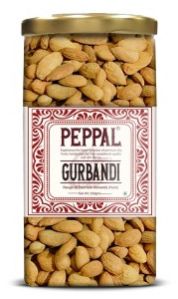 Gurbandi Badam Selected