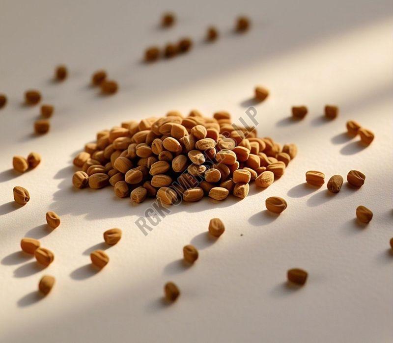 Fenugreek Seed