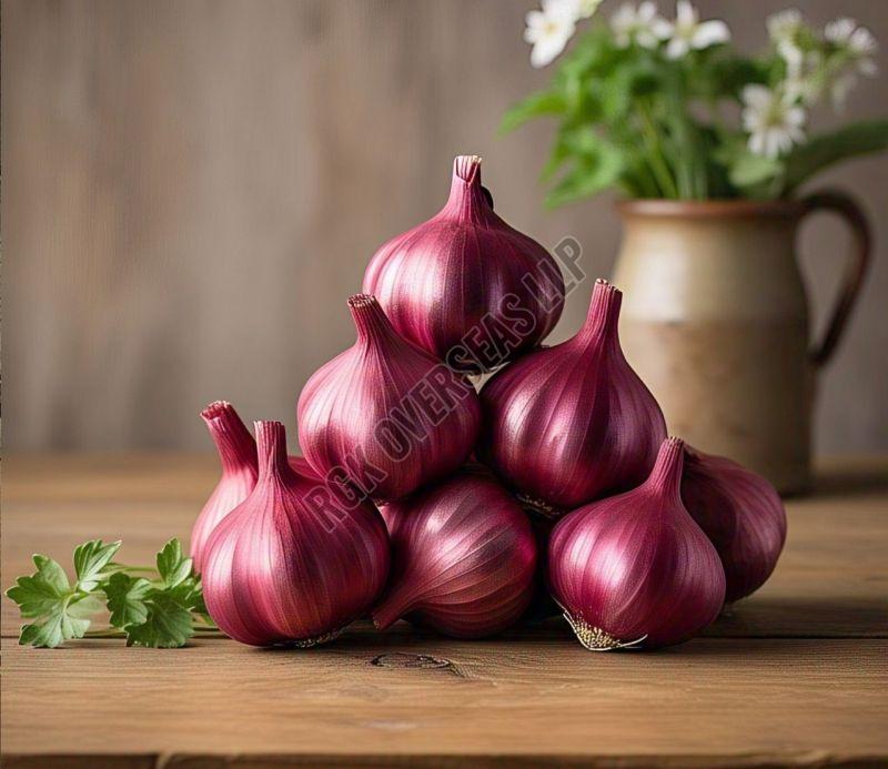 fresh red onion