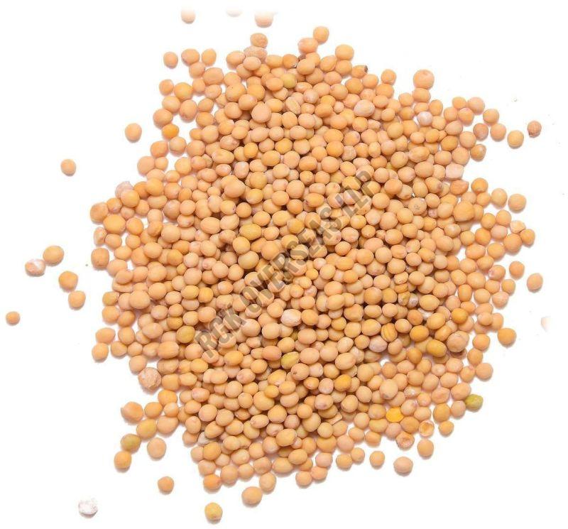 yellow mustard seed