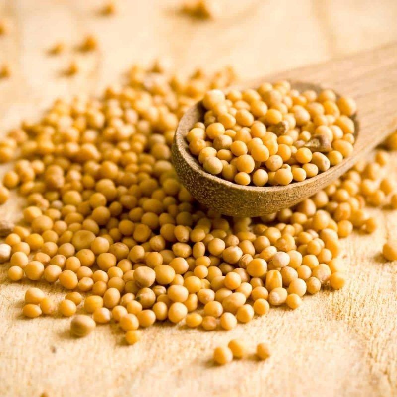 Yellow Mustard Seeds