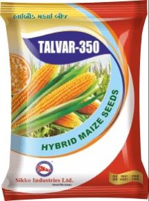 Talvar-350 Maize Seeds, Color : Yellow