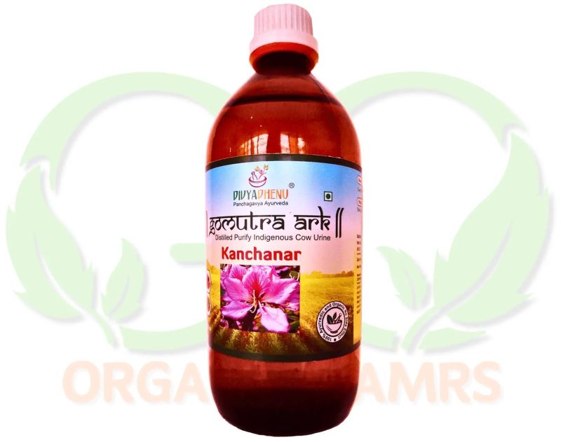 Gudmaradi Gomutra Ark