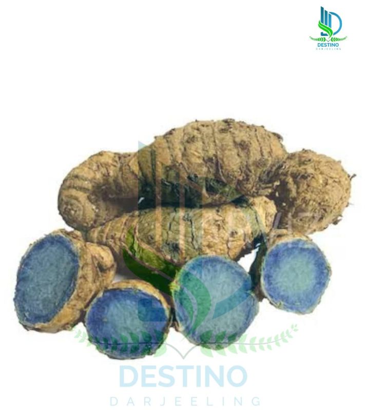 Black Turmeric Finger