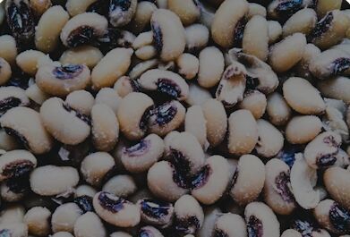 Dried Organic Cowpea Seeds