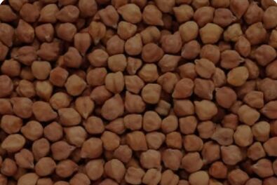 Desi Chickpeas