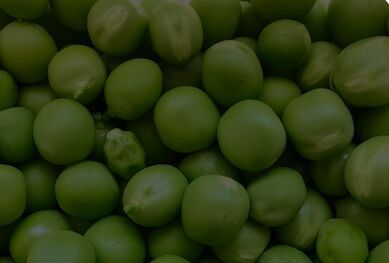 Fresh Green Peas