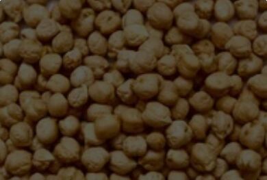 Kabuli Chickpeas