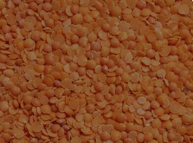 Premium Masoor Dal