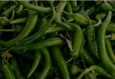 Spicy Green Chillies