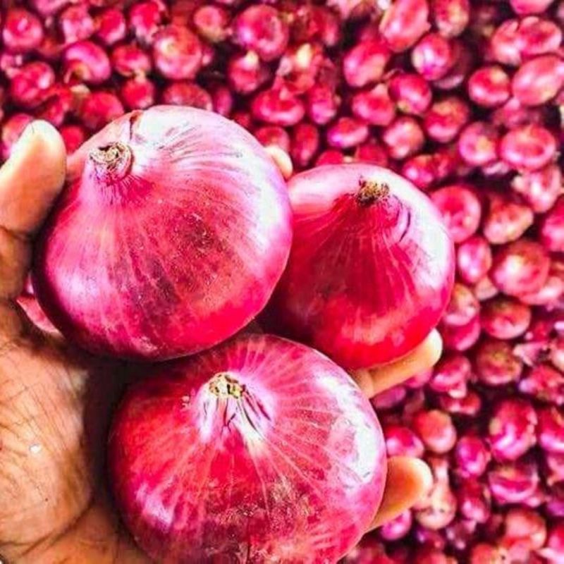 Fresh Nashik Red Onion