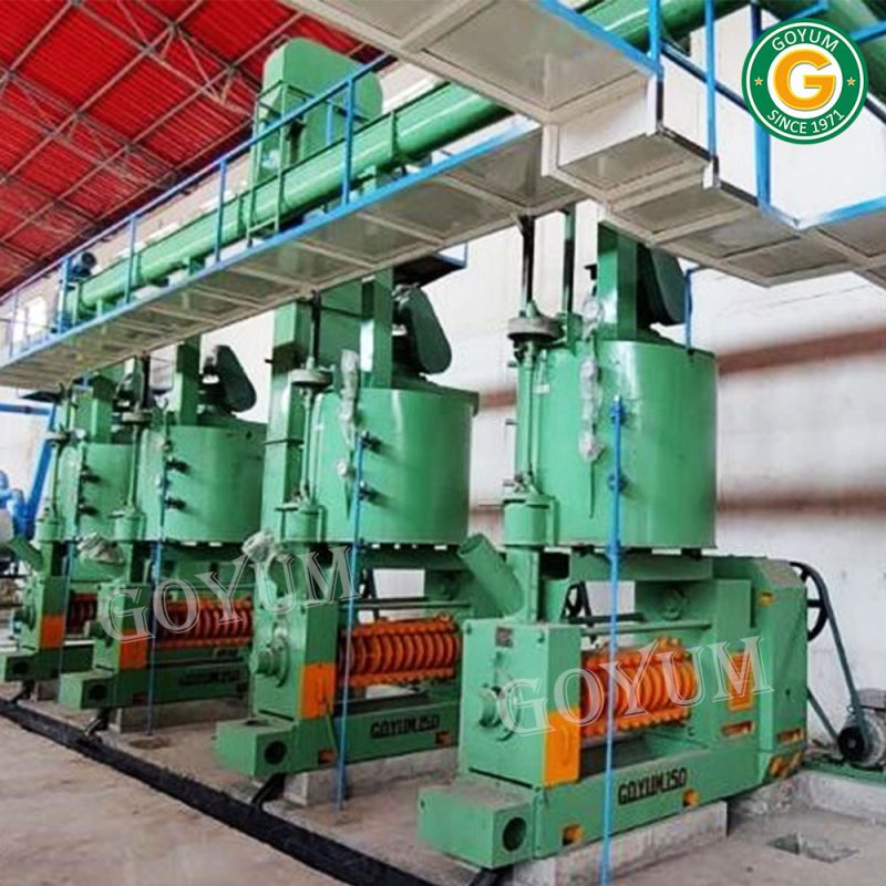 Castor Seed Oil Processing Plant