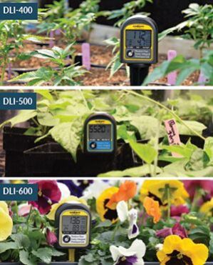 PAR, Daily Light Integral, and Photoperiod Meters (DLI-400-500-600)