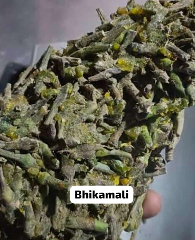 Bhikamali